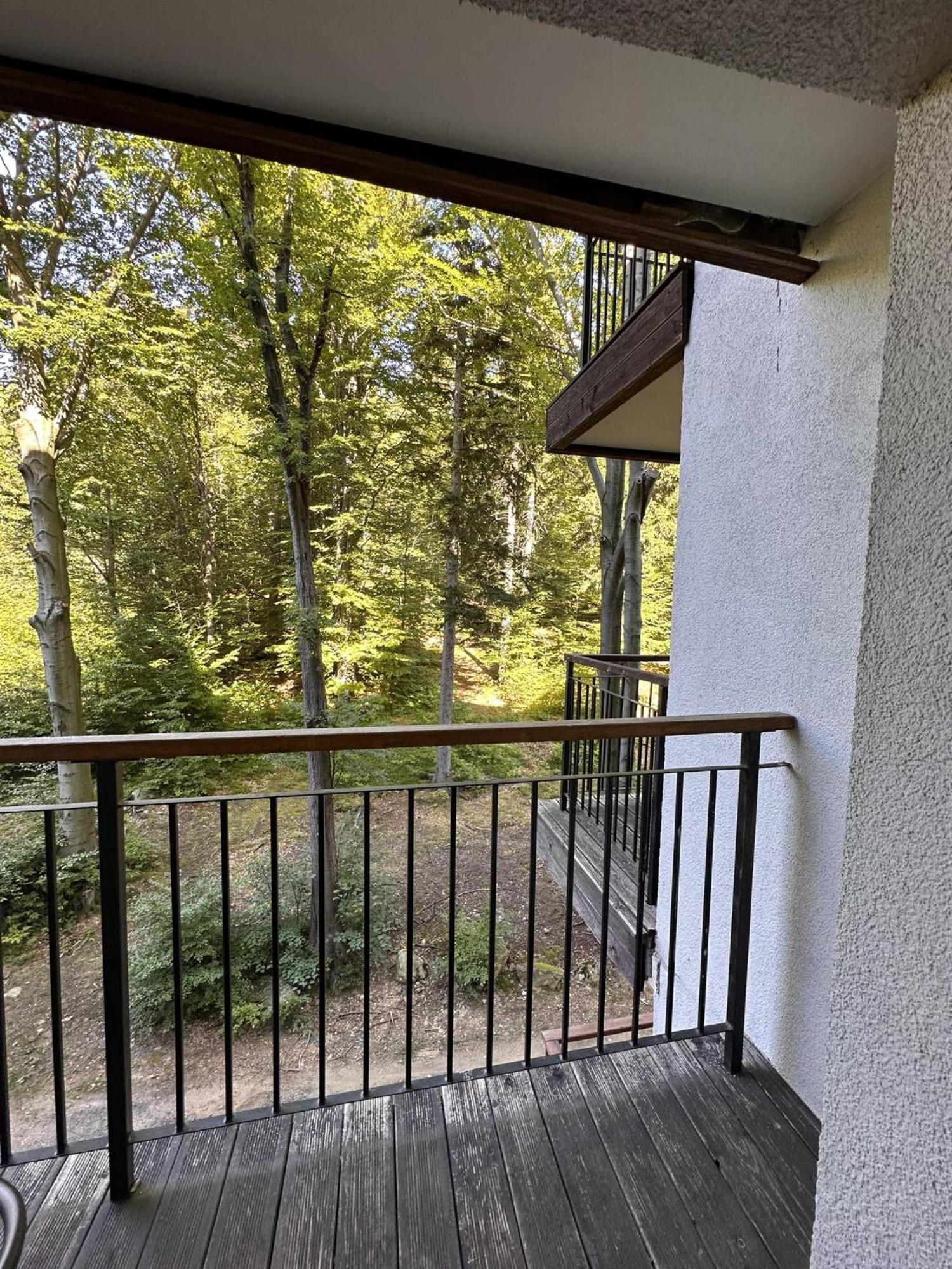 Srodkowa Widok Na Las 2 Pietro Garaz Gratis Szklarska Poreba Exterior photo